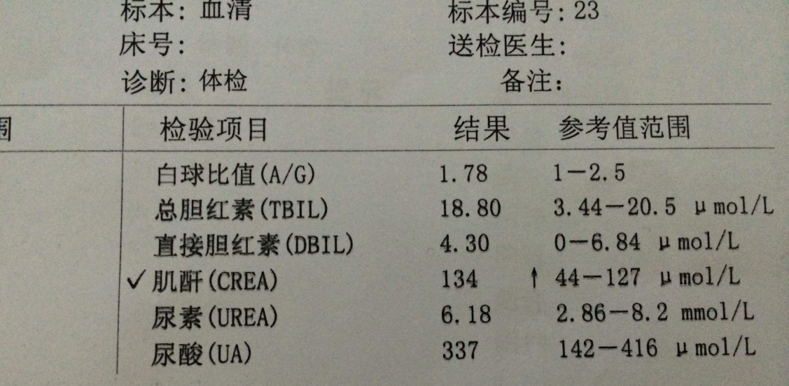 肌酐偏高