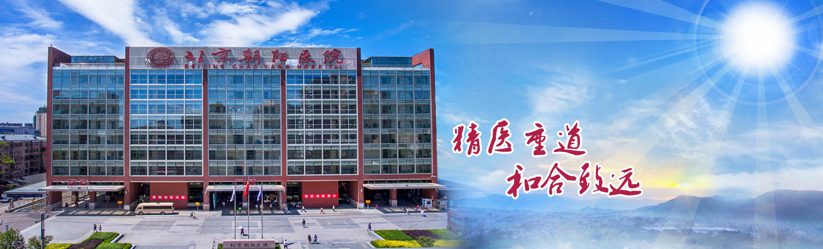 首都医科大学附属北京朝阳医院